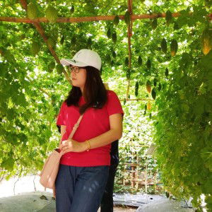 สุภัทรา สุดสวาท profile icon