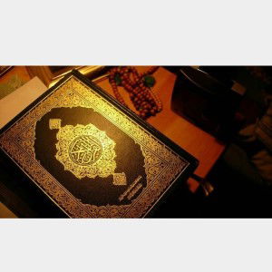 Siti Khoiriyah profile icon