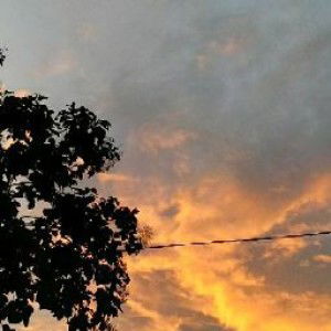 Rachmawati Megasari profile icon