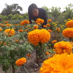 Eka Hardiyanti profile icon