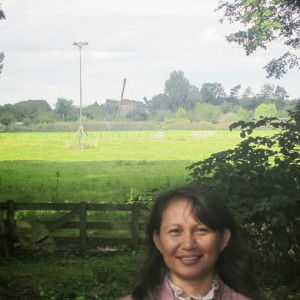 yoshi talaksoru profile icon