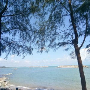 ดารูณี อิสารี profile icon