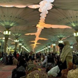 Lanna Sari profile icon