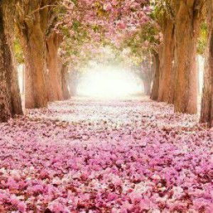 Nia Zainia profile icon