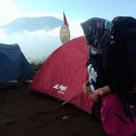 Naelamb Sarie Part I profile icon