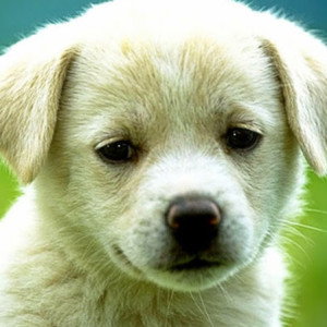 Ta Ta Ta profile icon