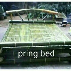 ayah nanda profile icon