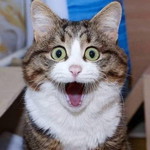 Rahmadani Nayla profile icon