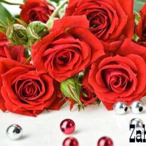 citra ardi profile icon