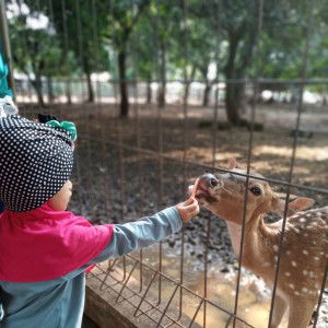 Puput Iriana profile icon