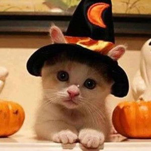 Muayjung Wongsawat profile icon