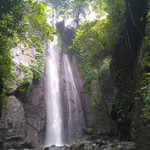 Natasha Dhewandharu profile icon