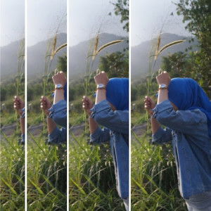 Dina Novitasari profile icon