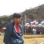 Fernanda Dien profile icon