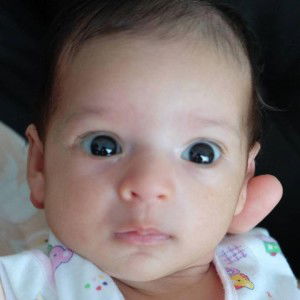 Maya Mor profile icon