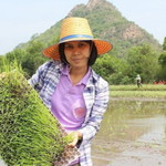 อัมพวรรณ์ profile icon
