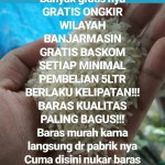 Herman Djoehdy Mj profile icon