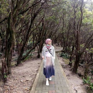 Nur Aeni profile icon