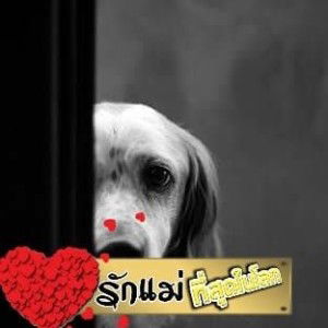 ณิชาดา หมูอ้วน profile icon