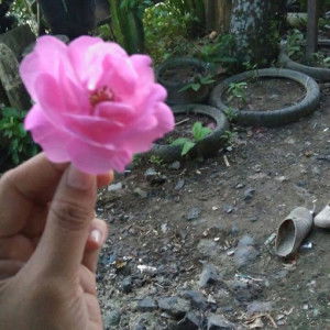 Supy Yuliana profile icon