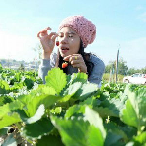 Rachdawan Kambuakot profile icon