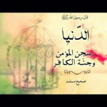 Imtinan Bagis profile icon