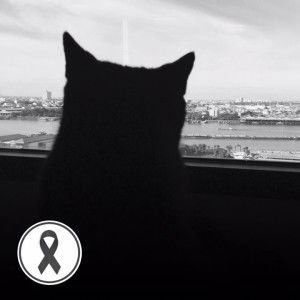 Husabhorn Amonpacharasup profile icon