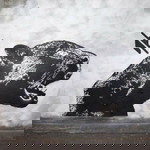 Eekfoto Foto profile icon