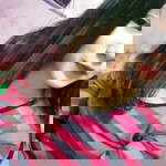 Murtianti profile icon