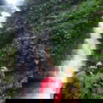 Ams Black S profile icon