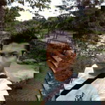 Arri Libeneich profile icon