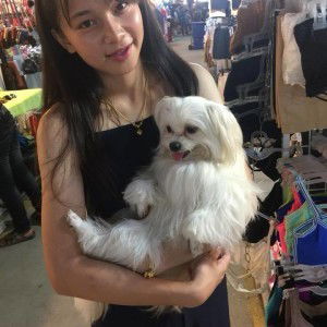 Natt Simla profile icon