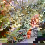 Mint Janta profile icon