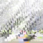 Ully Dee profile icon