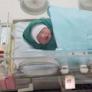 Shanks Pradupphet profile icon