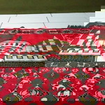 Afifa Chaerani profile icon