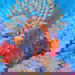 Pratiwi Dwi profile icon