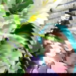 Bunda Aventa Javas Pradipta profile icon