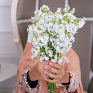 Verhyyee Whe profile icon