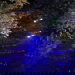 Pani Pani profile icon