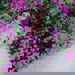 น้องมะระ ขี้นก profile icon