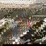 Aline Rizky profile icon