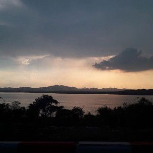 Mullika Bell profile icon