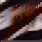 Thapanee Oilzy Naksuwan profile icon