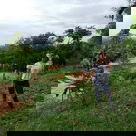 May Rattanawadee profile icon