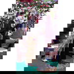 Vita Lutfiati profile icon