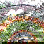 Putri Nabela profile icon