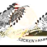 Andi Supriadi profile icon