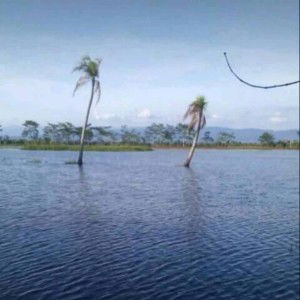 Tty Clpus profile icon