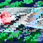 Ni Naaty Seekum profile icon